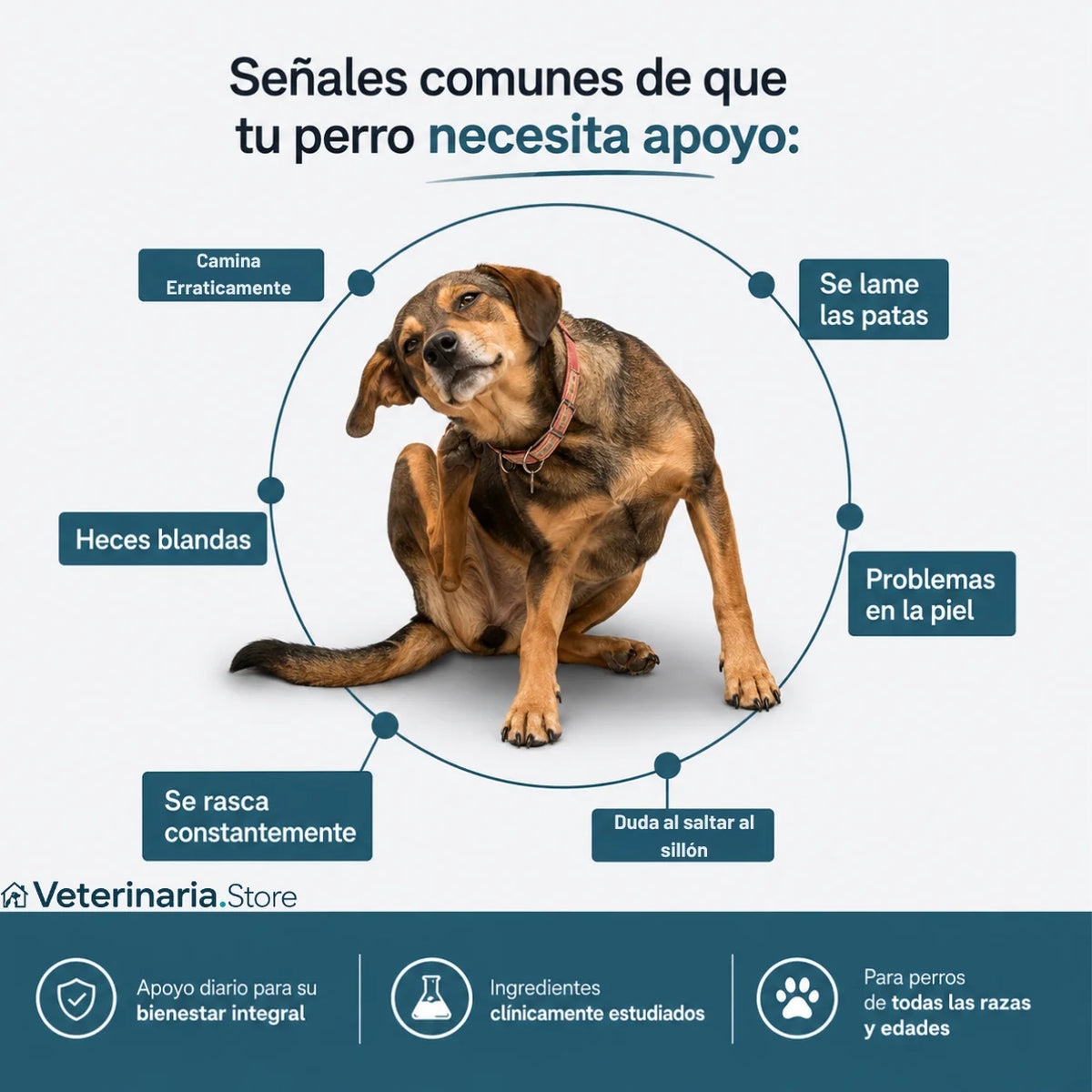 Colágeno Líquido para Articulaciones de Perros con Ácido Hialurónico
