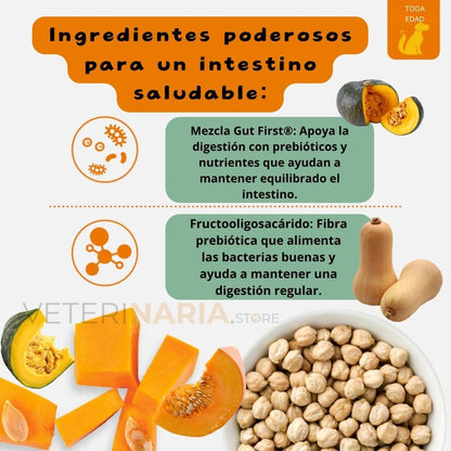 Anicalm Probiótico Complemento para la Salud Digestiva Integral Canina