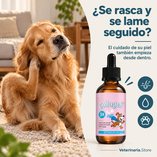Triple Colágeno Líquido  Premium — Piel y Pelaje