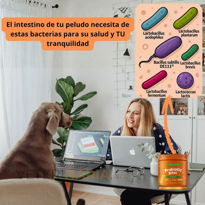 Anicalm Probiótico Complemento para la Salud Digestiva Integral Canina