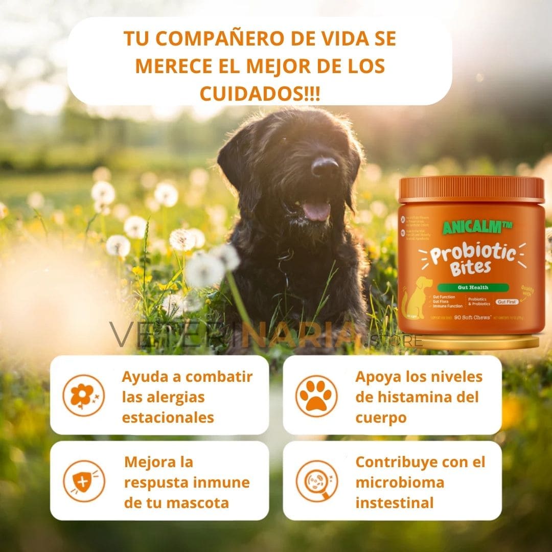 Anicalm Probiótico Complemento para la Salud Digestiva Integral Canina