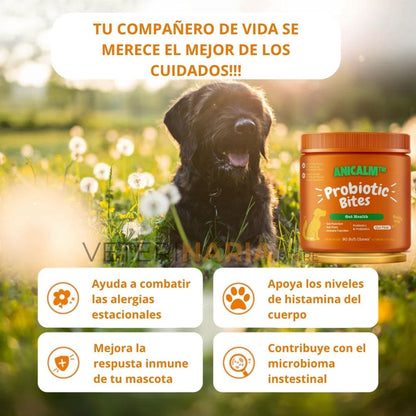 Anicalm Probiótico Complemento para la Salud Digestiva Integral Canina