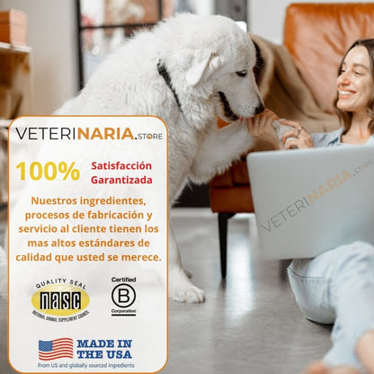 Anicalm Probiótico Complemento para la Salud Digestiva Integral Canina