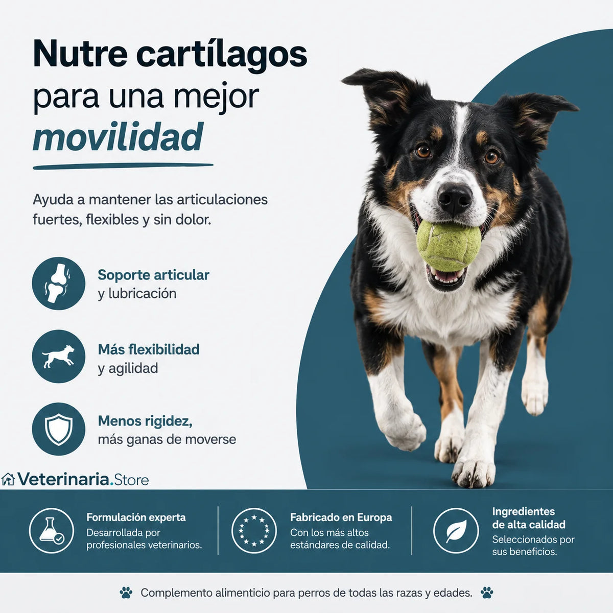 Colágeno Líquido para Articulaciones de Perros con Ácido Hialurónico