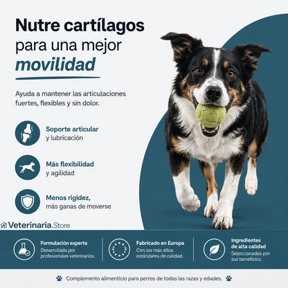 Colágeno Líquido para Articulaciones de Perros con Ácido Hialurónico