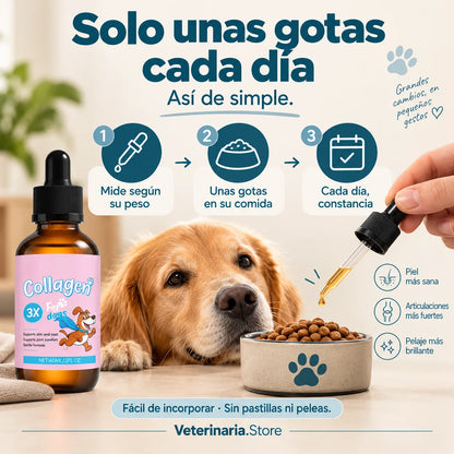 Triple Colágeno Líquido  Premium — Piel y Pelaje