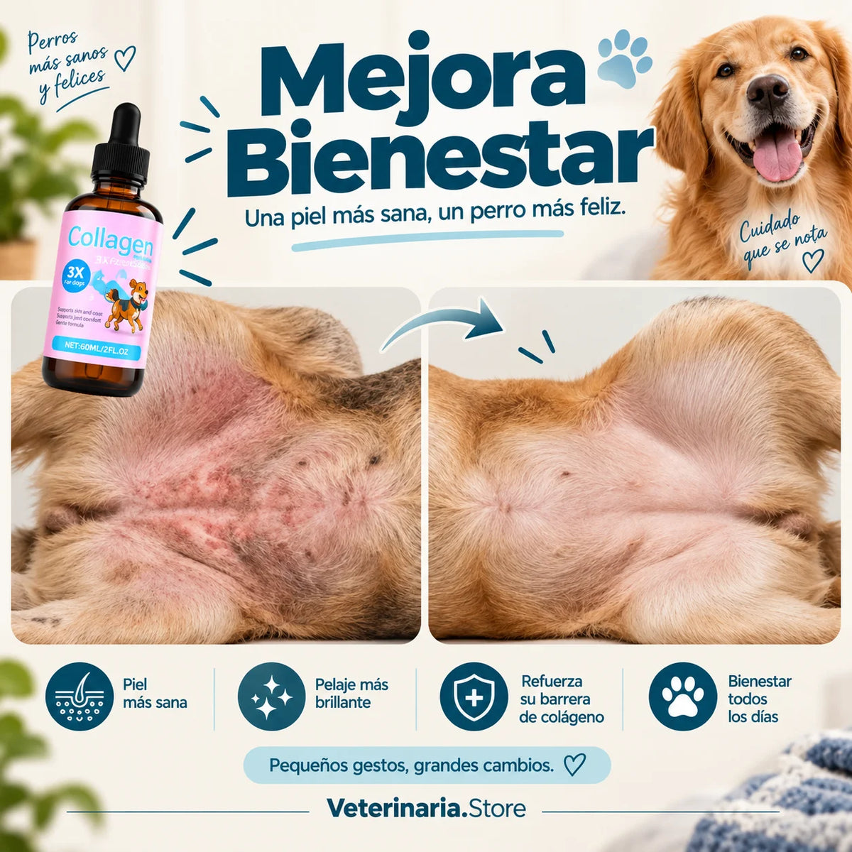 Imagen promocional