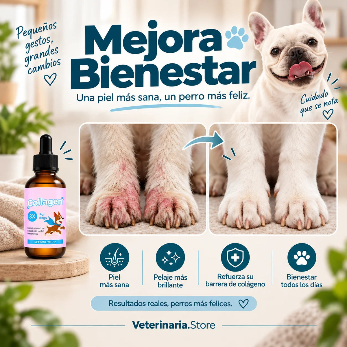 Imagen promocional