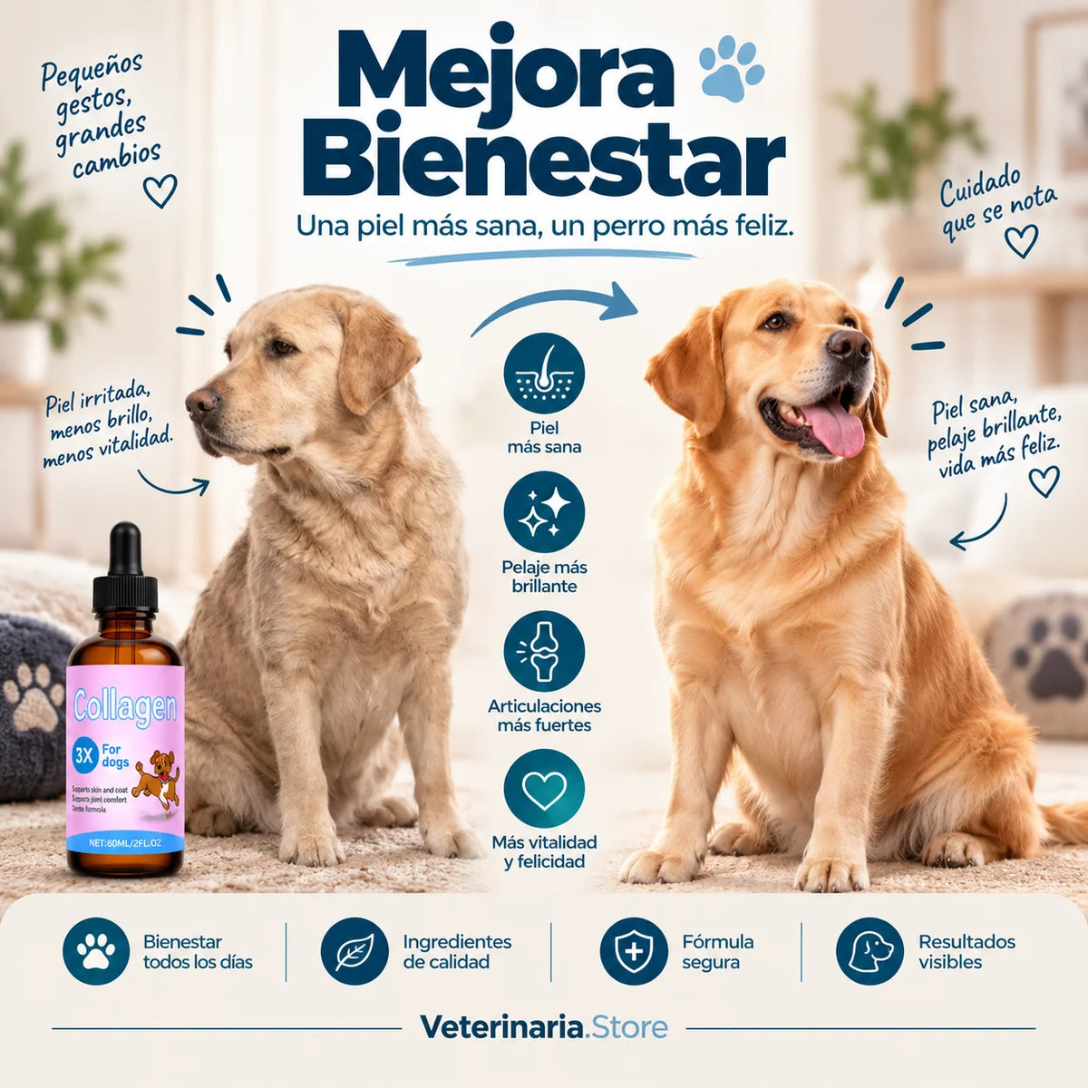 Imagen promocional