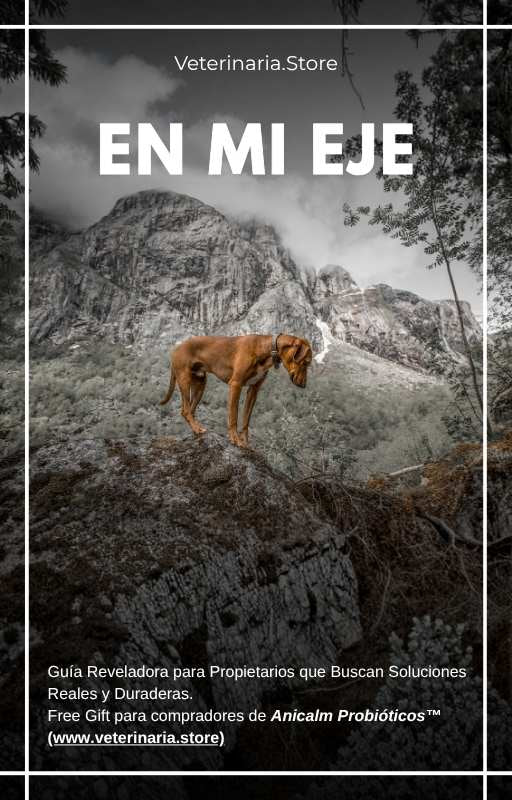 Ebook "EN MI EJE"